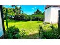Expansive backyard featuring lush greenery and mature trees, creating a private oasis at 230 N Bayshore Blvd # 103, Clearwater, FL 33759