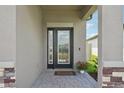 Elegant front door with decorative glass, side window, and beautiful stone accents at 810 Hillshire Pl, Spring Hill, FL 34609