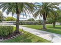 Beautiful home exterior with lush landscaping, driveway, and curb appeal, framed by mature palm trees at 10611 131St St, Largo, FL 33774