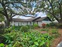 Charming home with a landscaped yard and mature shady trees on a sunny day at 16134 Ravendale Dr, Tampa, FL 33618