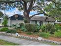 A charming home with a lush landscaped yard is shaded by a large, mature tree at 16134 Ravendale Dr, Tampa, FL 33618