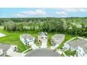 Aerial view of several homes in a community surrounded by lush greenery and natural beauty at 1680 Hazy Sea Dr, Plant City, FL 33565