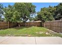A verdant backyard featuring a privacy fence, mature trees, and lush green grass at 1902 N Tampania Ave, Tampa, FL 33607