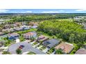Picturesque aerial view of a residential area with lush greenery and a winding lake nearby at 1958 Marshberry Ct, Trinity, FL 34655