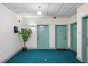 Clean, brightly lit hallway with blue carpet and neutral walls, leading to apartment entrances at 701 Mirror Lake N Dr # 103, St Petersburg, FL 33701
