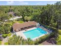 Aerial view of a community pool surrounded by greenery, lounge chairs, and a covered picnic area at 3673 Fremantle Dr, Palm Harbor, FL 34684