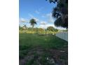 Grassy yard beside a pond and framed by trees at 2518 Mabry St, Tampa, FL 33618