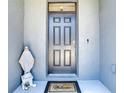 Entryway featuring a black front door, a Welcome mat, and a statue on the stoop at 32977 Kaloko Rd, Wesley Chapel, FL 33543