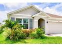 Charming single-story home with a well-manicured lawn and beautiful landscaping at 33668 Elm Hill Branch, Wesley Chapel, FL 33545