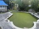 Backyard pool filled with stagnant green water and surrounded by a concrete deck and overgrown greenery at 1105 E Ellicott St, Tampa, FL 33603