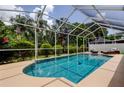 Screened-in pool with clear blue water, surrounded by lush landscaping, providing a private outdoor oasis at 11121 Clayridge Dr, Tampa, FL 33635