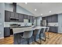 Modern kitchen featuring stainless steel appliances, a large island with seating, and stylish gray cabinetry at 4123 Daisy Dr, Hernando Beach, FL 34607