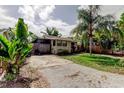 Single-story home with a charming front yard and driveway at 4479 Newark N St, St Petersburg, FL 33714