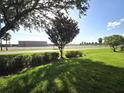 A lush green lawn with a tree and bushes on a sunny day with a building and street in the background at 2302 Maki Rd # 2, Plant City, FL 33563