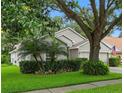 Beautifully landscaped home with a lush lawn, decorative shrubbery and a mature tree at 3101 Beaver Pond Trl, Valrico, FL 33596