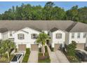 Aerial view of a row of townhomes with manicured lawns, driveways, and mature trees at 17834 Althea Blue Pl, Lutz, FL 33558