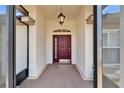 Elegant front door with transom window and sidelights, creating a welcoming entrance at 304 Caloosa Palms Ct, Sun City Center, FL 33573