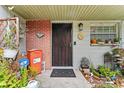 Welcoming front door with brick accent, adorned with plants, creating a warm and inviting entrance at 9602 N Rome Ave, Tampa, FL 33612