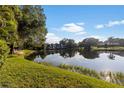 Scenic view of the pond reflecting the sky and surrounding trees, next to the apartment building at 10423 Carrollbrook Cir # 203, Tampa, FL 33618