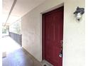 Exterior front door of the unit, adjacent to the entry walkway at 11705 Raintree Village Blvd # C, Temple Terrace, FL 33617