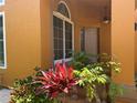 Charming front porch features neutral colors and flourishing plants at 1855 Briland St, Tarpon Springs, FL 34689