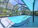 Screened in pool with clear blue water and ladder at 1861 Royal Oak E Pl, Dunedin, FL 34698