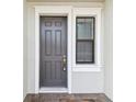 Close-up of a stylish front door with a window, framed by white trim at 2432 Golden Pasture Cir, Clearwater, FL 33764