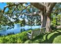 Relaxing backyard featuring a swing under a large tree, overlooking a peaceful lake at 6561 Exeter Ct, Seminole, FL 33772