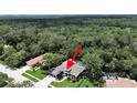 Aerial shot of a private home in a wooded community featuring a screened pool and backyard at 15024 Eaglepark Pl, Lithia, FL 33547