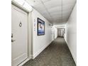 Hallway with carpet leading to unit 502, with view down the hallway at 400 Island Way # 502, Clearwater Beach, FL 33767