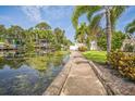 Scenic waterfront view with a dock, lush greenery, and a serene canal leading out to open water at 51 Cypress Dr, Palm Harbor, FL 34684