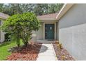 Inviting front entrance with decorative shrubbery and a sidewalk leading to the blue front door at 11708 Crest Creek Dr, Riverview, FL 33569