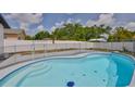 Backyard pool with safety fence, turtle mosaic, and lush landscaping at 4489 57Th N Ave, St Petersburg, FL 33714