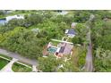 Bird's eye view of a home with a pool, lush greenery, and a tranquil pond nearby at 807 E Chapman Rd, Lutz, FL 33549