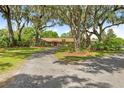 A wide view of a beautiful home with mature trees and a long driveway in a lush, green setting at 10193 Wallien Dr, Brooksville, FL 34601
