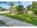 Well-maintained front yard showcasing lush green grass, a mature mango tree, and decorative landscaping at 15123 Bald Eagle St, Tampa, FL 33625