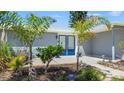 Home entrance showcasing decorative plants, a walkway, and a charming blue front door at 9917 San Sierra Way, Port Richey, FL 34668