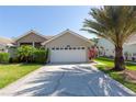 Inviting home with a well-kept lawn, mature palm trees, and a wide driveway leading to a convenient two-car garage at 1729 Arabian Ln, Palm Harbor, FL 34685