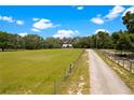 Sprawling green pasture with a long driveway leading to a beautiful home nestled among mature trees at 31949 Amberlea Rd, Dade City, FL 33523