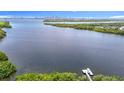 Beautiful waterfront view showcasing a serene bay and the distant city skyline at 4567 Tuscan Loon Dr, Tampa, FL 33619