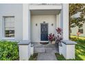 Inviting entryway with a stylish front door, potted plants, and well-maintained landscaping at 5528 Liberty Plain Cir, Tampa, FL 33611