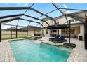 Backyard screened-in pool area with jacuzzi, lounge chairs, and outdoor dining at 8019 Marbella Creek Ave, Tampa, FL 33625