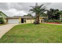 Charming one-story home with a well-manicured lawn, a driveway, and mature palm trees at 1117 S Florida Ave, Tarpon Springs, FL 34689
