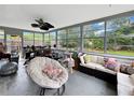 Cozy sunroom filled with furniture and large windows that offer serene backyard views at 1609 Haven Bnd, Tampa, FL 33613
