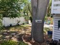 Landscaped backyard with stone pathway, white fence, and a 'Welcome' sign on the tree at 401 Pennsylvania Ave, Crystal Beach, FL 34681