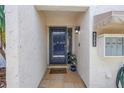 Charming entryway with a blue front door, stone tile floor, and a welcome mat at 4202 Harbor House Dr # 24, Tampa, FL 33615