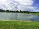 Open view of a calm lake surrounded by lush green grass at 5082 Inshore Landings Dr, Apollo Beach, FL 33572