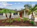Well-landscaped front yard with mature palm trees, plants, and a freshly mulched garden at 2560 51St N St, St Petersburg, FL 33710