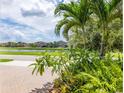 Serene backyard view overlooking a tranquil lake, palm trees, and lush greenery, providing a peaceful setting at 9860 Smarty Jones Dr, Ruskin, FL 33573