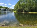 Scenic pond view surrounded by lush greenery, creating a tranquil and picturesque setting at 1281 Pine Ridge E Cir # B1, Tarpon Springs, FL 34688